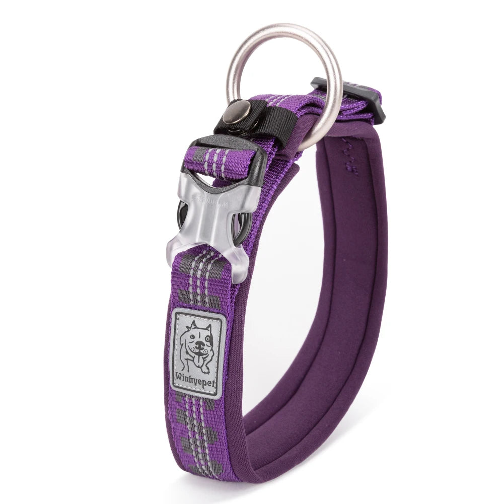 Collier pour chien Winhyepet rembourré réflechissant - Violet - XS