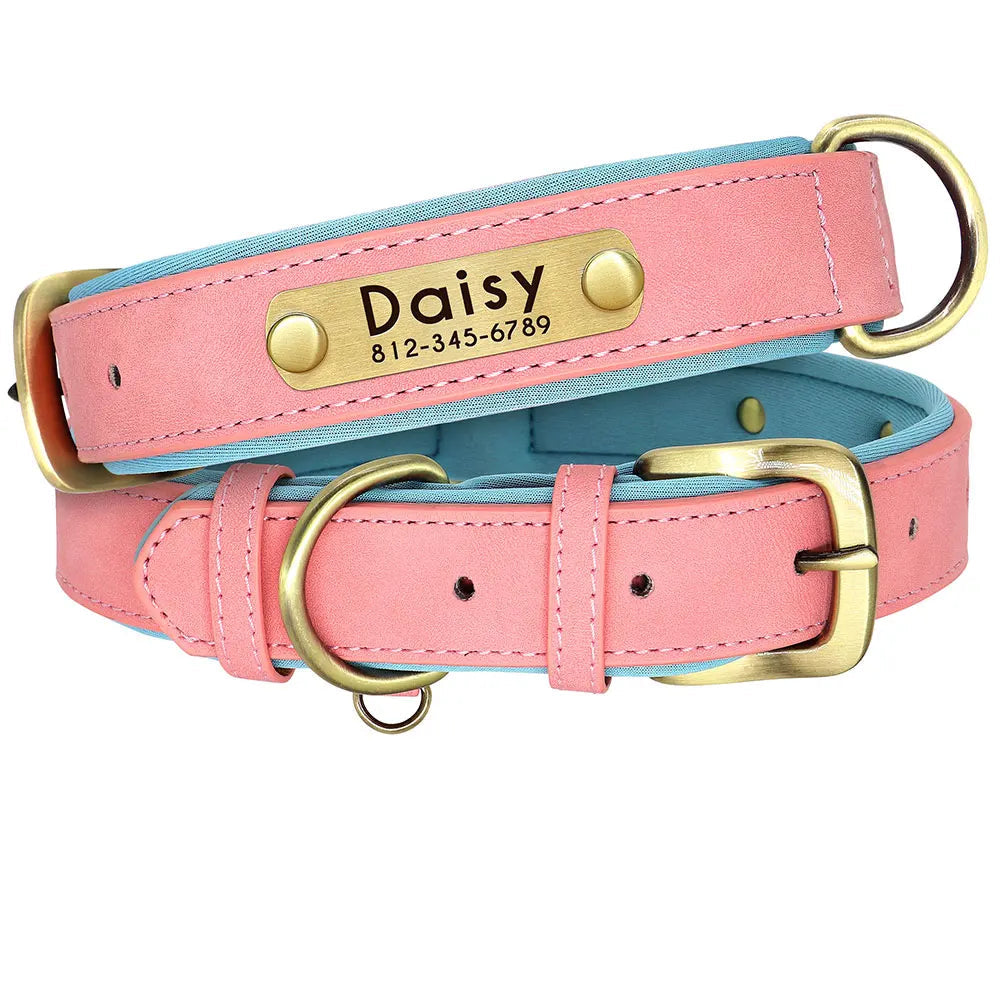 Collier pour chien personnalisé en cuir avec plaque gravée
