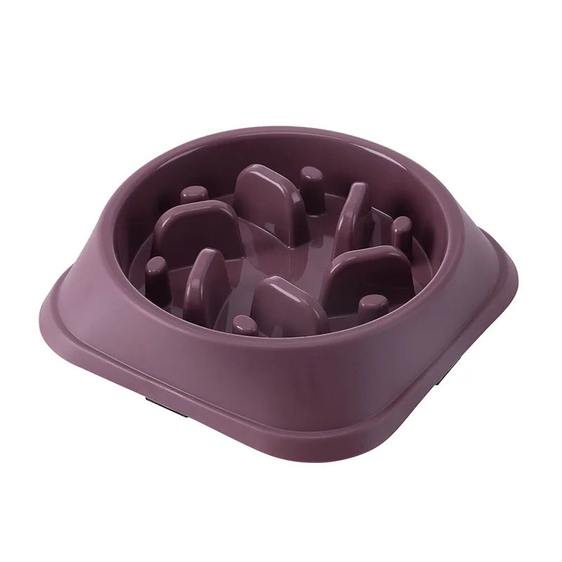 Gamelle pour chien anti glouton ronde