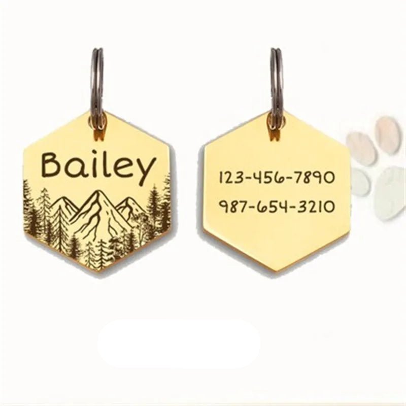 Médaille pour chien gravée – modèle hexagonal montagne (acier inox personnalisable)