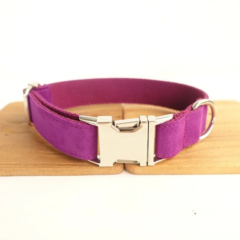 Collier pour chien personnalisé en velours lisse