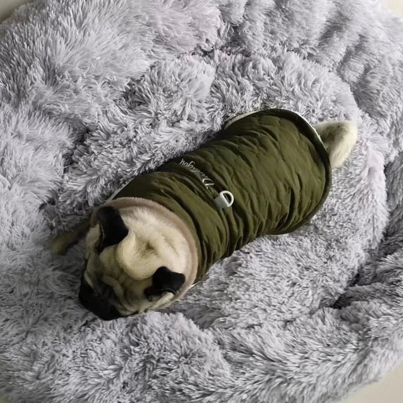 CDDMPET Waterproof Fur Collar Dog Jacket Winter Warm Fleece Dog Clothes for Small Dogs Puppy Pet Vest Chihuahua Yorkie