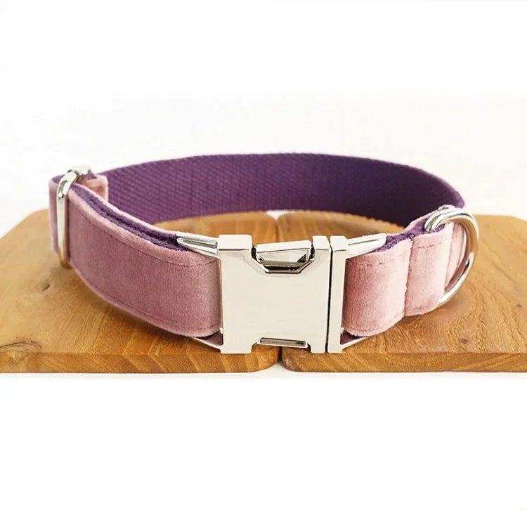 Collier pour chien personnalisé en velours lisse