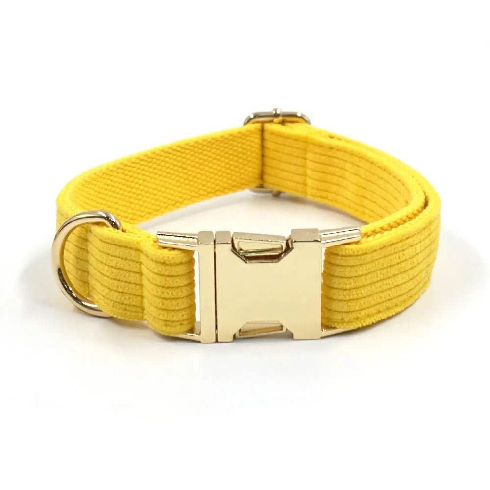 Collier pour chien personnalisé en nylon tissé doux