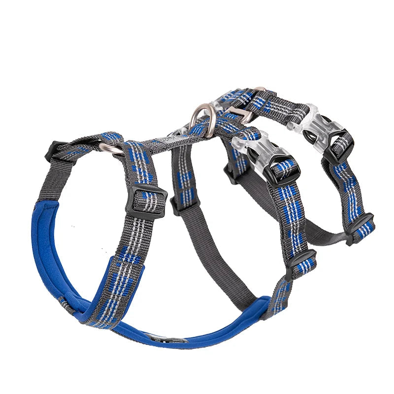 Harnais anti-fugue Truelove Winhyepet 3 points bleu roi, sangles tissées réfléchissantes et logo Winhyepet