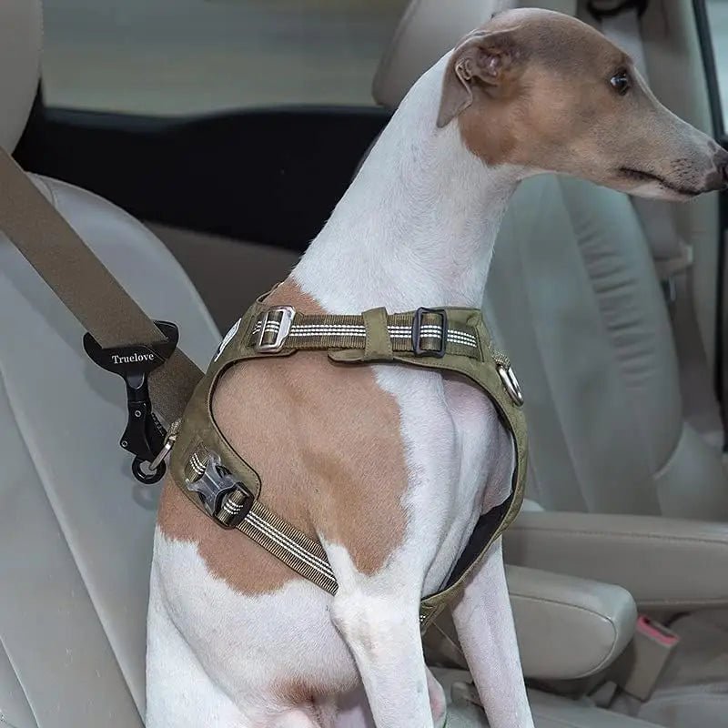 Attache ceinture de sécurité Truelove pour chien en alliage d’aluminium avec Greyhound italien tan et blanc