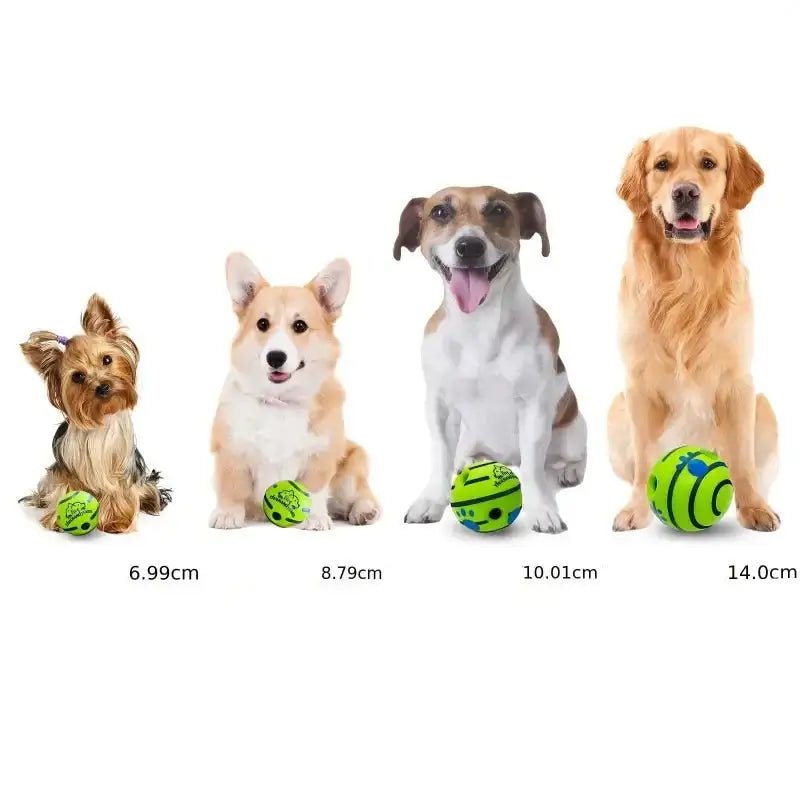 Guide des tailles pour la balle sonore résistante pour chien et jouet qui couine pour chien