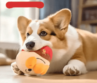 Corgi jouant avec une balle vibrante pour chien rechargeable et peluche douce