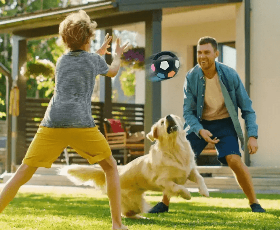 Famille jouant avec un ballon résistant pour chien avec poignée et sifflet intégré et un ballon rebondissant pour chien actif