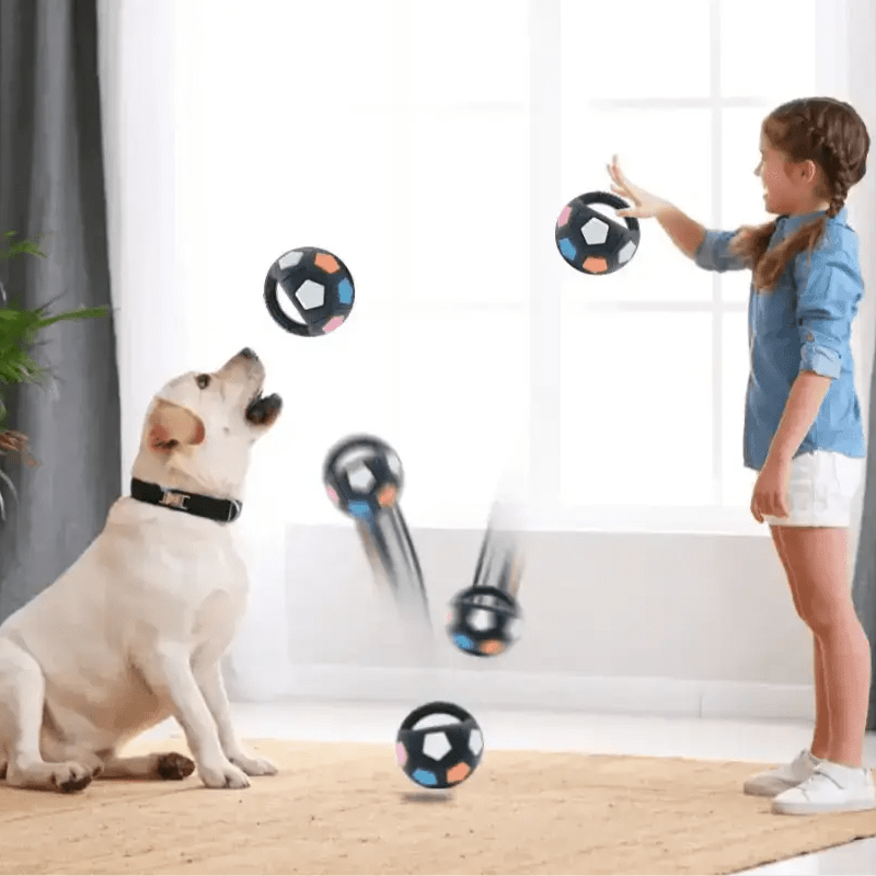 Enfant et chien jouant avec le ballon résistant pour chien avec poignée et sifflet intégré
