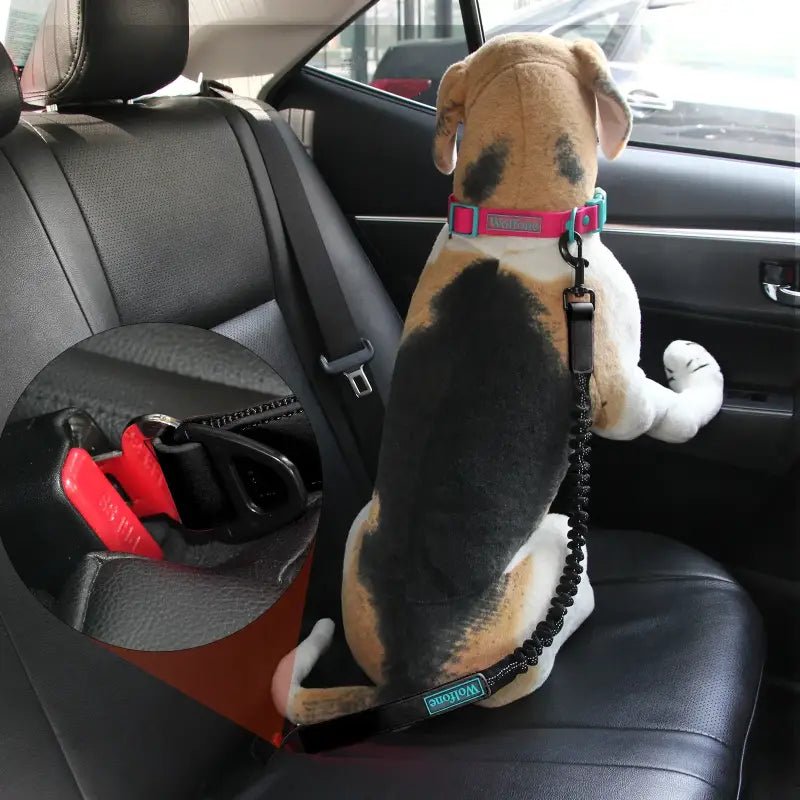 Photo d’un chien wolfone sécurisé en voiture avec la ceinture de sécurité pour chien Wolfone antichoc