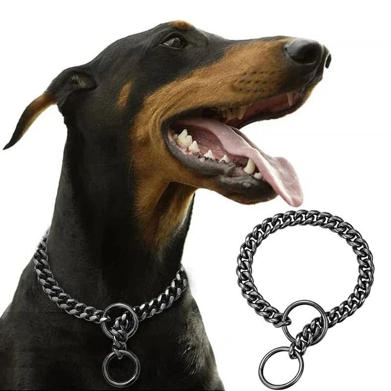 Collier chaîne inoxydable 304l brillant pour chien Doberman noir et tan
