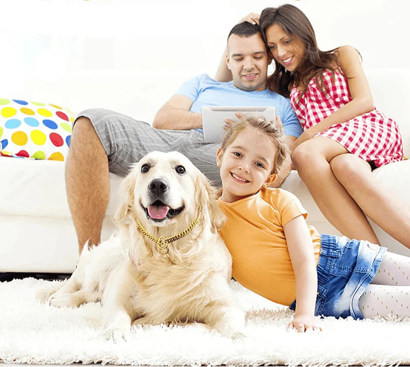 Famille heureuse avec chien portant collier chaîne inoxidables acier inoxydable 304l