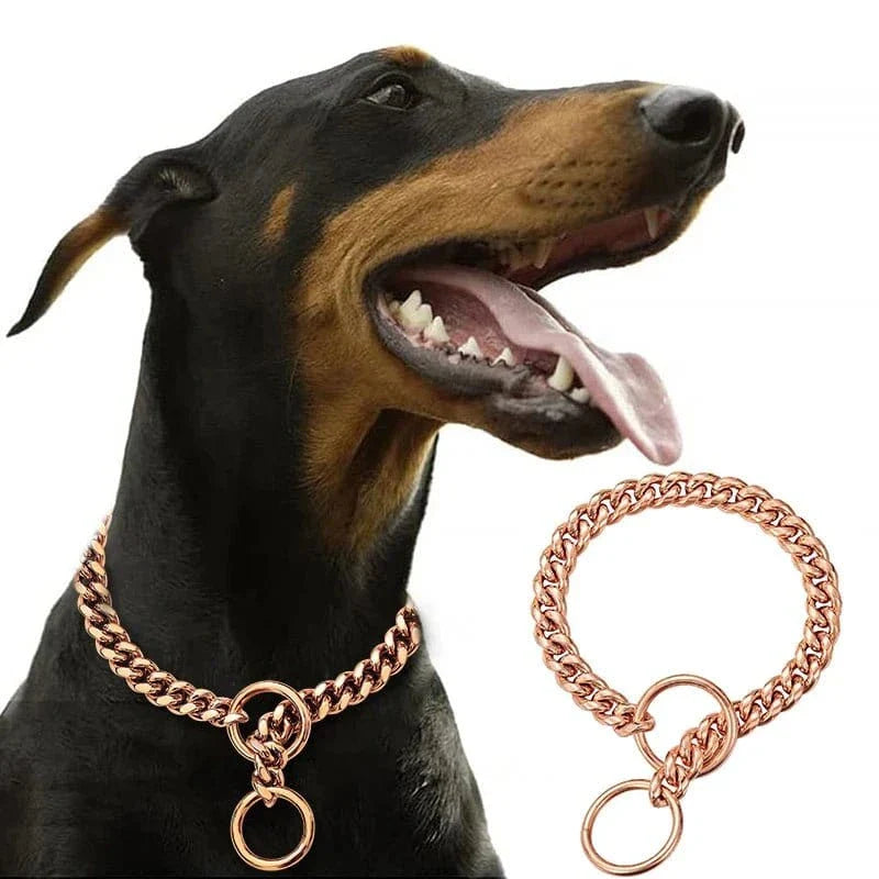 Collier chaîne pour chien en acier inoxydable 304l rose gold brillant style design