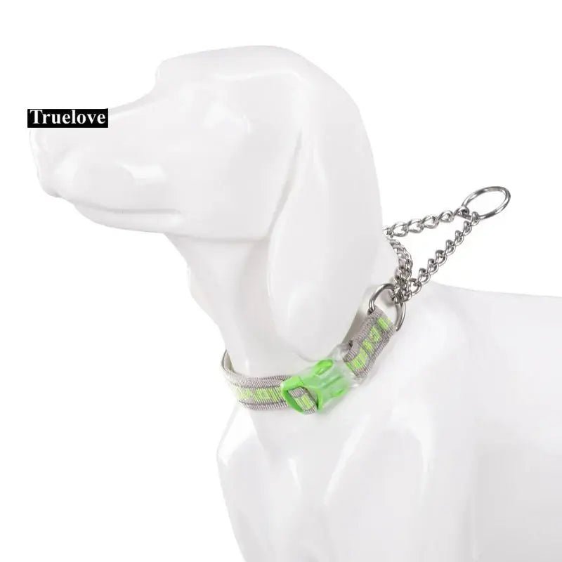 Collier pour chien anti-traction Truelove avec bandes réfléchissantes, rembourrage doux et boucle verte