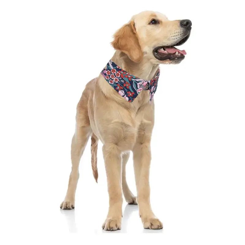Collier bandana pour chien Truelove avec motif floral et foulard intégré