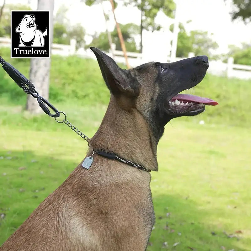 Collier pour chien en corde nylon tressée avec chaîne inox, Malinois tan, noir mâchoire