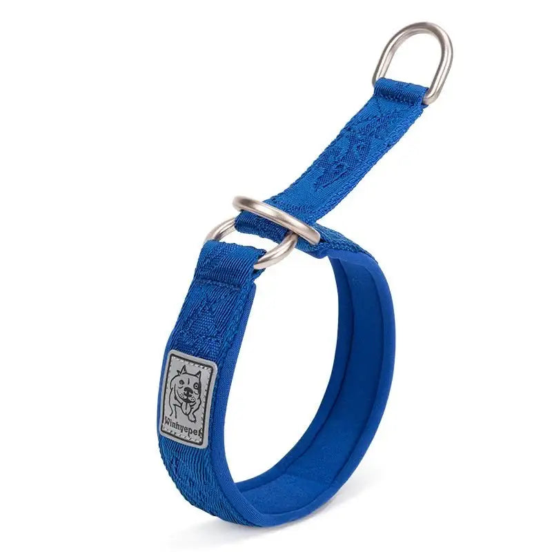 Collier pour chien en néoprène SBR Truelove avec boucle en alliage d’aluminium et coutures réfléchissantes