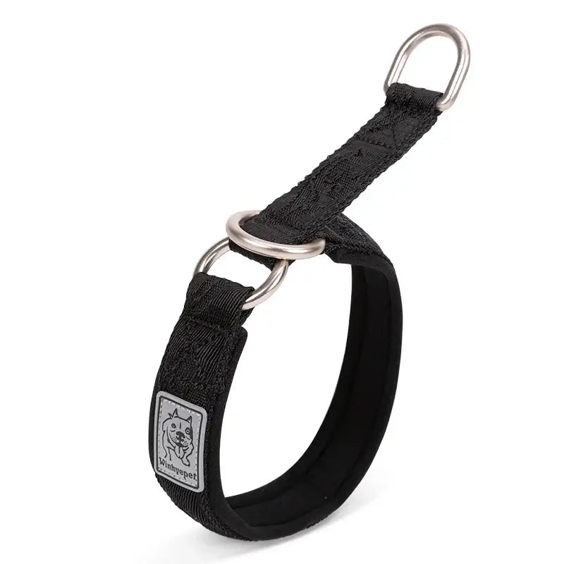 Collier pour chien en néoprène SBR Truelove avec boucle aluminium et coutures réfléchissantes
