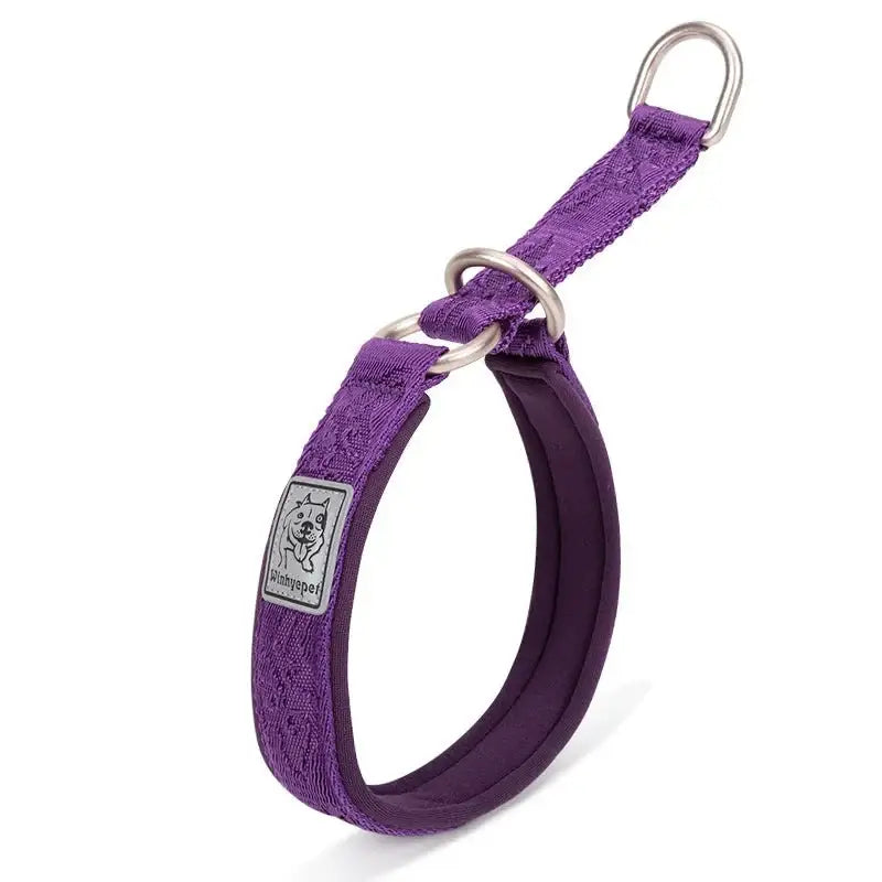 Collier pour chien en néoprène SBR Truelove avec boucle aluminium et coutures réfléchissantes