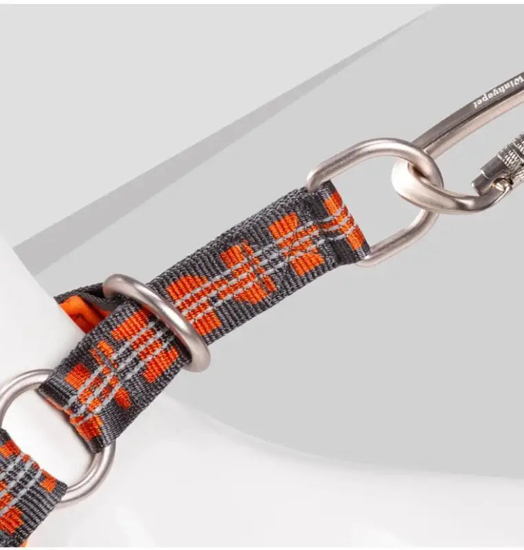 Collier pour chien réfléchissant avec coutures réfléchissantes, anneaux inox et néoprène doux