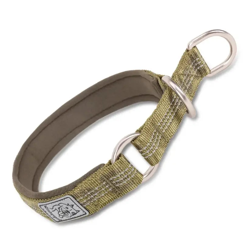 Collier pour chien réfléchissant en olive vert avec coutures réfléchissantes et anneaux inox
