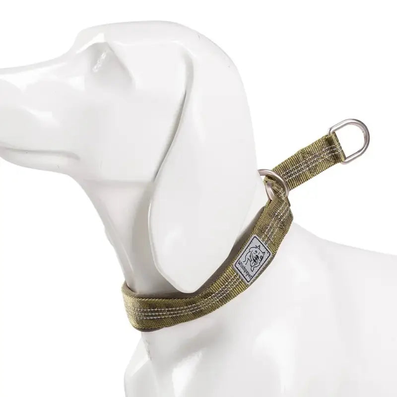 Collier pour chien réfléchissant vert avec coutures réfléchissantes et anneaux inox sur mannequin blanc