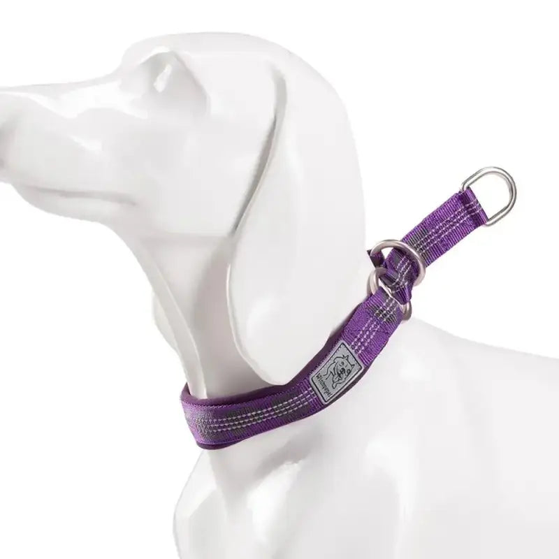 Collier pour chien réfléchissant avec coutures réfléchissantes, anneaux inox et néoprène doux