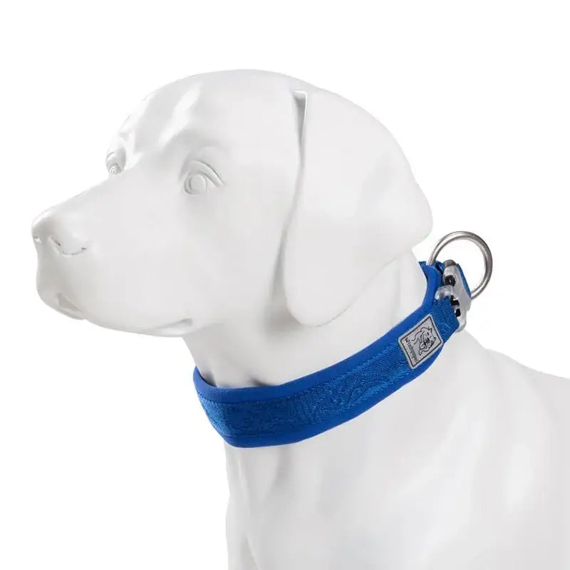 Mannequin de chien blanc portant un collier rembourré en néoprène SBR avec boucle Duraflex pour un confort optimal