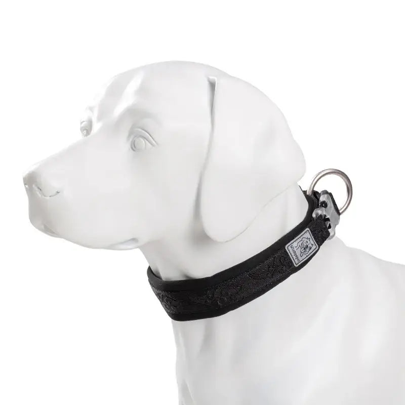 Collier pour chien rembourré avec boucle Duraflex et confort optimal en néoprène SBR