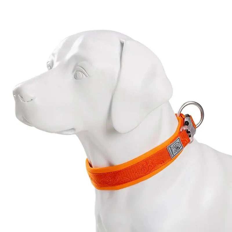 Collier pour chien rembourré avec boucle Duraflex et néoprène SBR pour confort optimal
