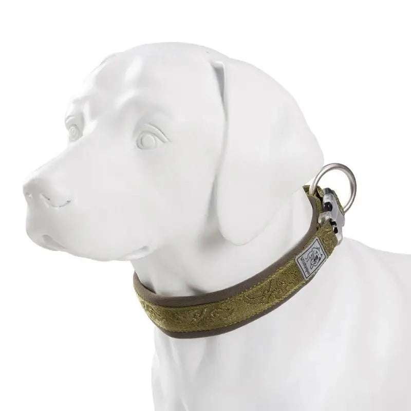 Mannequin de chien blanc portant un collier rembourré en néoprène SBR avec boucle Duraflex pour un confort optimal