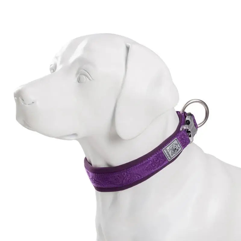 Collier pour chien rembourré avec boucle Duraflex, confort optimal, néoprène SBR blanc