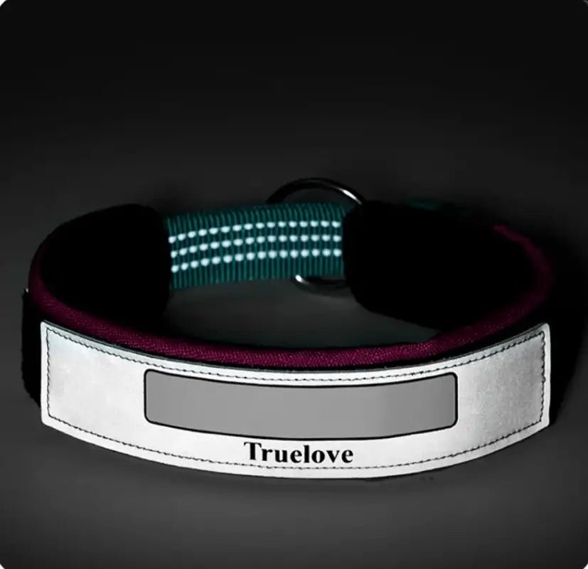 Collier chien Truelove en nylon Cordura vert olive avec patch personnalisable et boucle réfléchissante