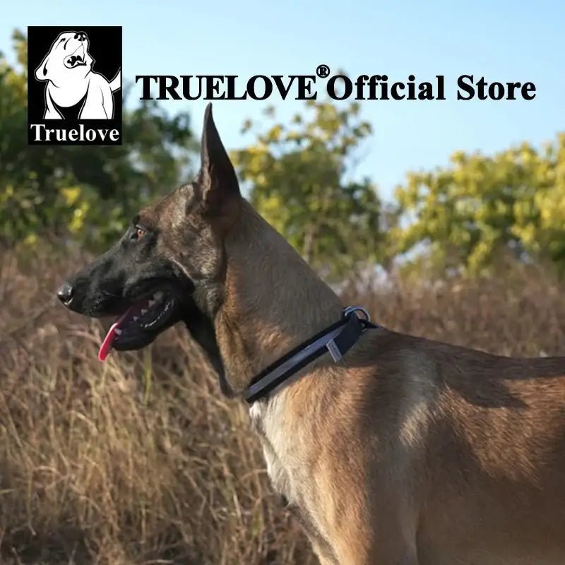 Collier pour chien Truelove avec bande réfléchissante, zinc anti-rouille, confort et étanchéité