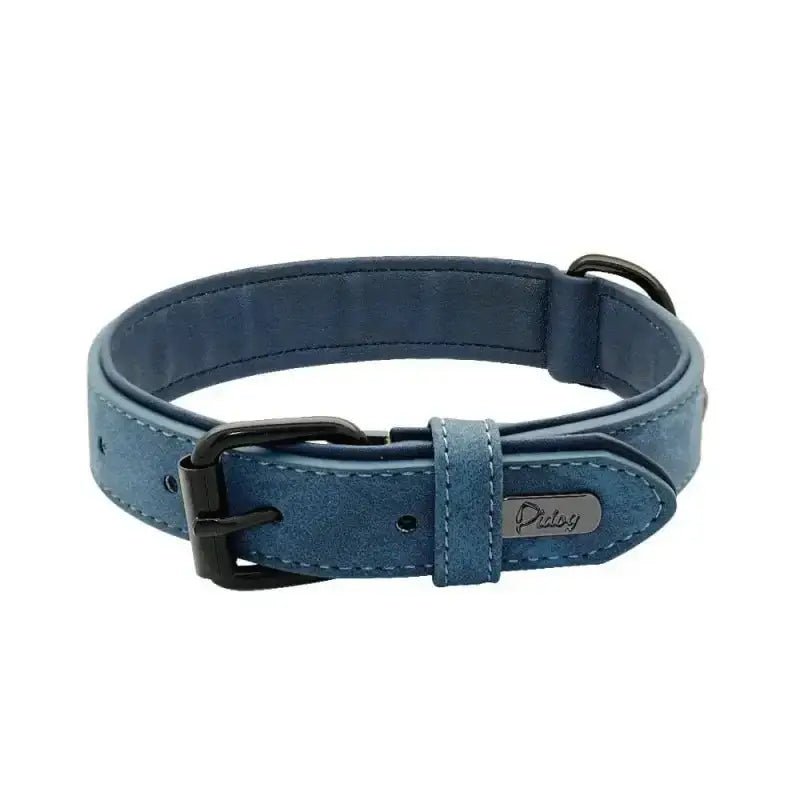 Collier en cuir imperméable pour chien bleu, facile à nettoyer, idéal pour la promenade