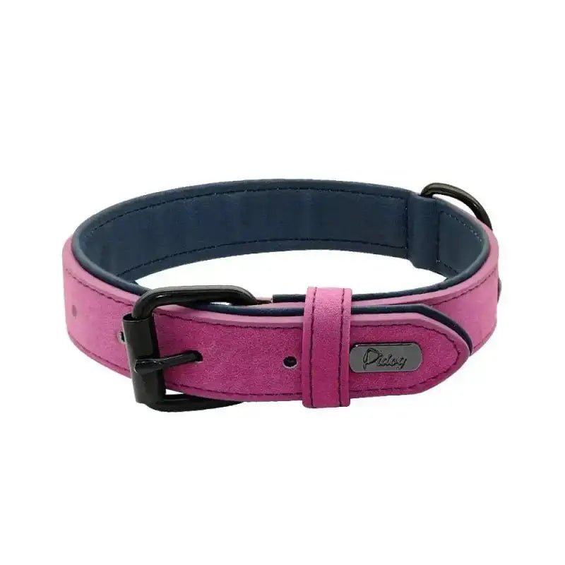 Collier en cuir imperméable pour chien rose et bleu avec boucle noire, résistant et facile à nettoyer