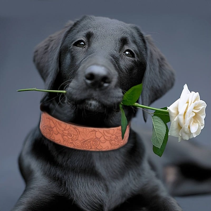 Collier grand en cuir embossé avec motif rétro et une black labrador avec rose blanche