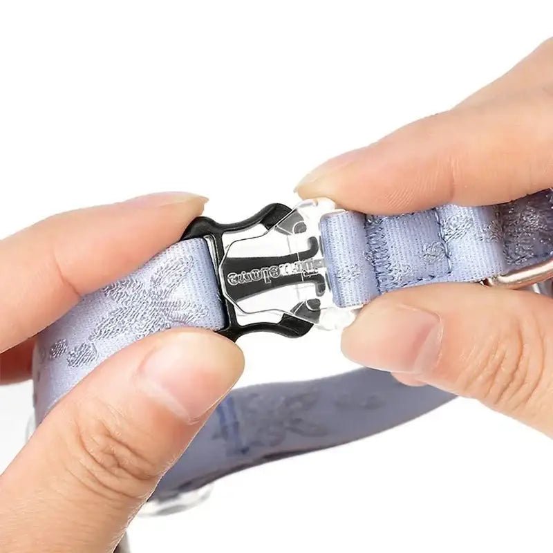 Collier Truelove pour petit chien en nylon résistant avec grelot intégré et boucle à dégagement rapide