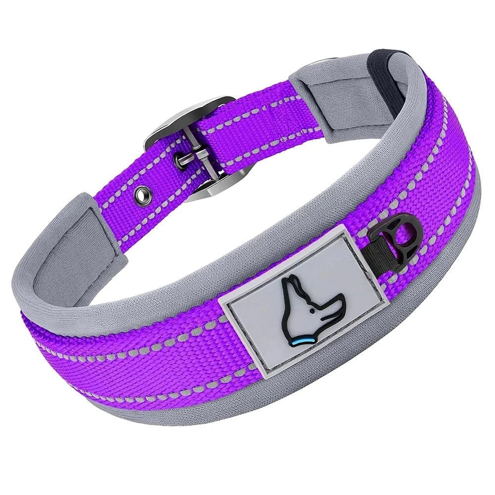 Collier réfléchissant en nylon - Violet - S