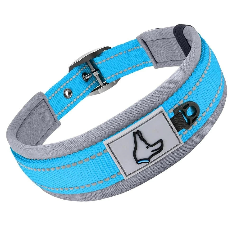 Collier réfléchissant en nylon - Bleu ciel - S