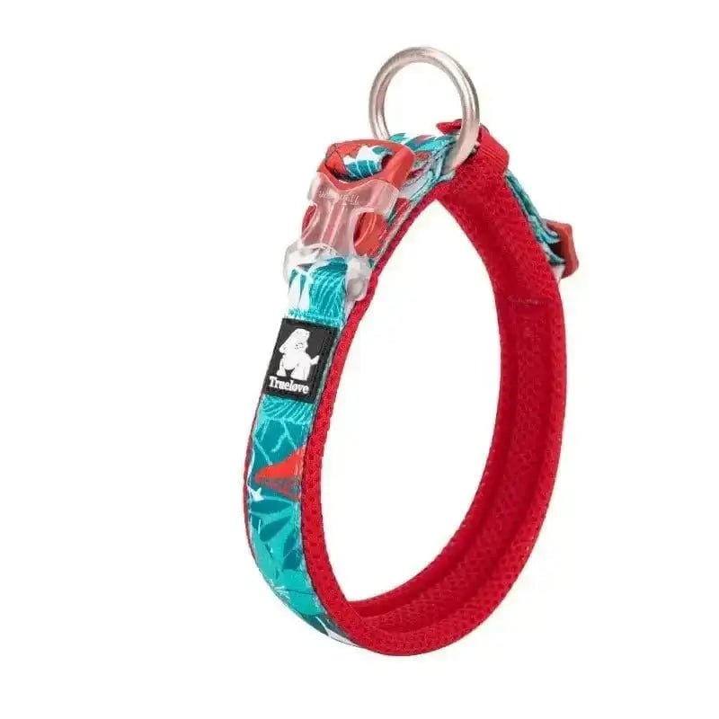 Collier Truelove motif floral doux pour chien petit à moyen, léger et ajustable