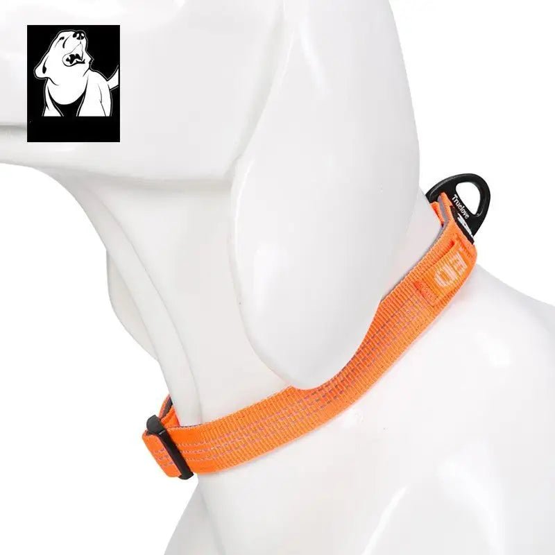 Collier nylon Truelove pour chien réfléchissant orange, réglable avec attache rapide