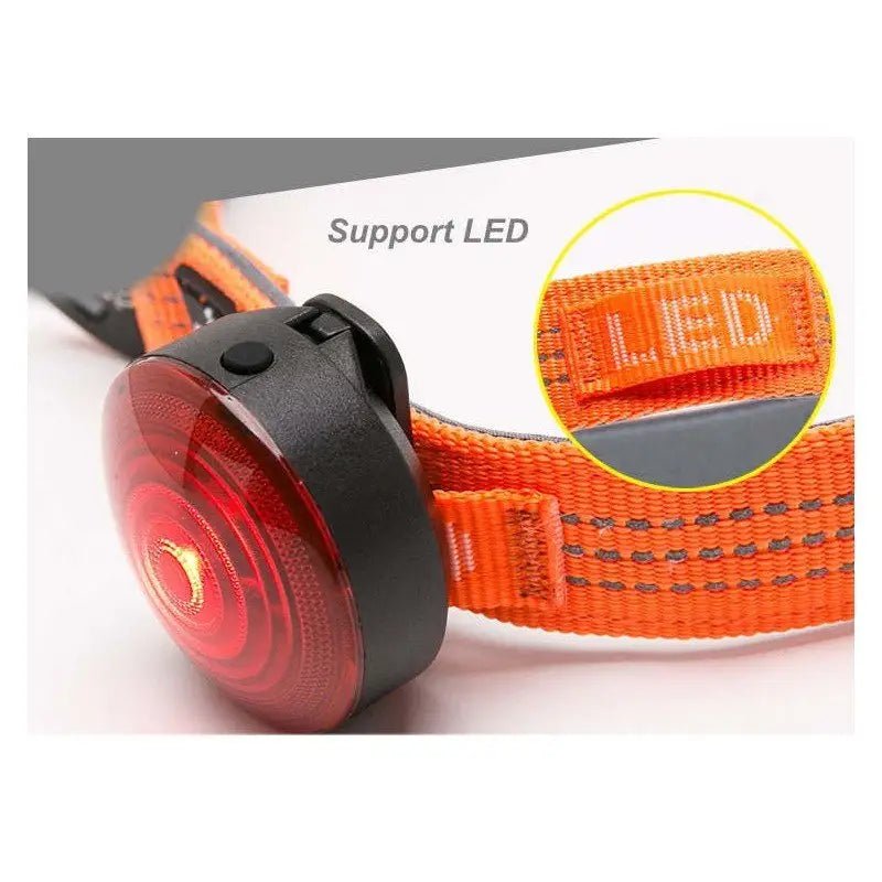 Collier chien truelove ajustable et réfléchissant avec LED orange pour la sécurité nocturne