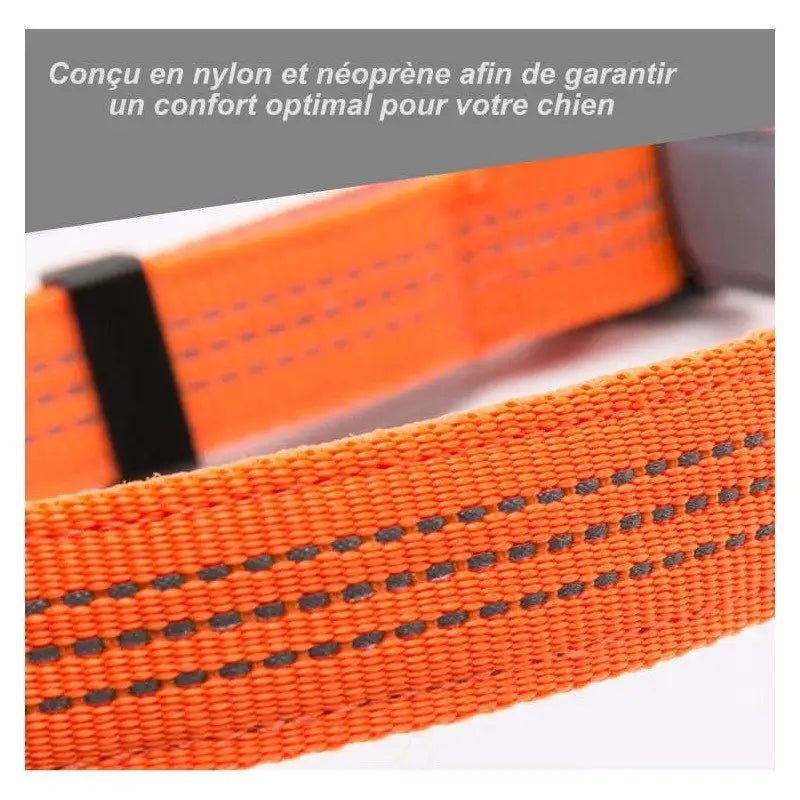 Collier nylon Truelove pour chien ajustable avec couture réfléchissante et attache rapide