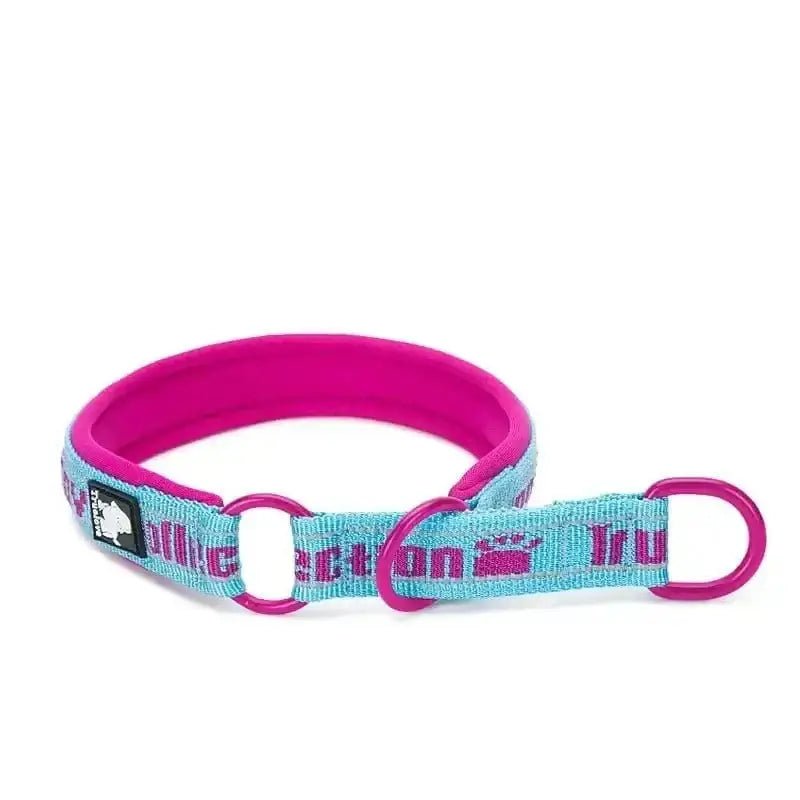 Collier truelove rembourré pour chien confortable en rose et bleu, ajustable et sécurisé