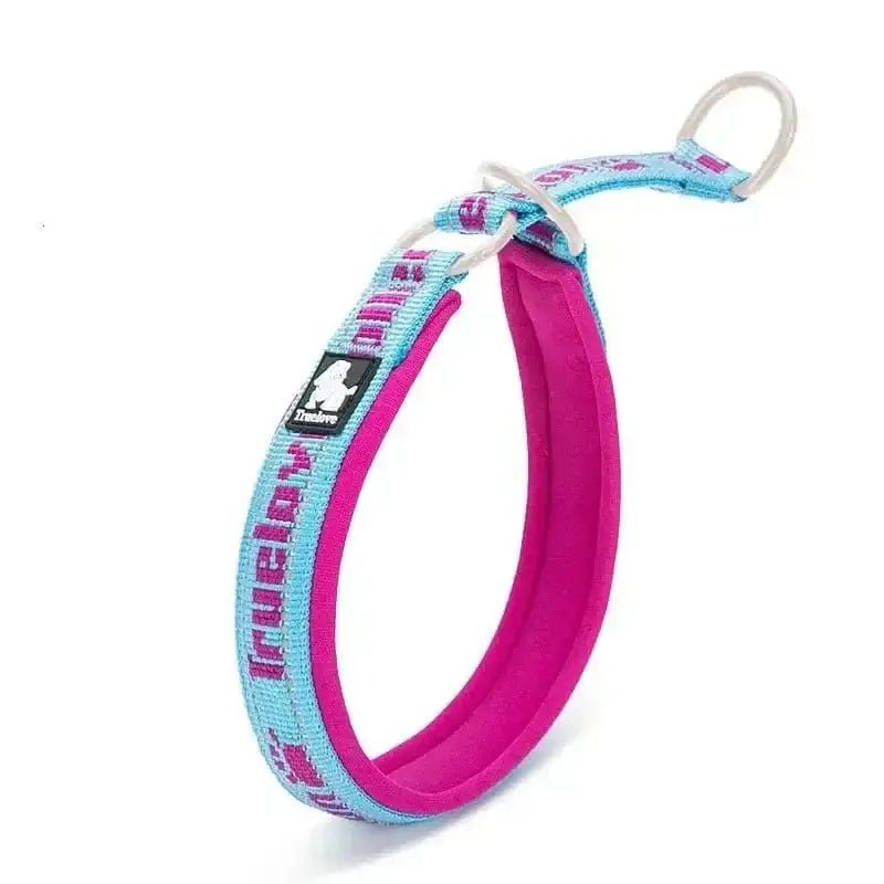 Collier truelove rembourré ajustable pour chien en bleu et rose, confortable et sécurisé