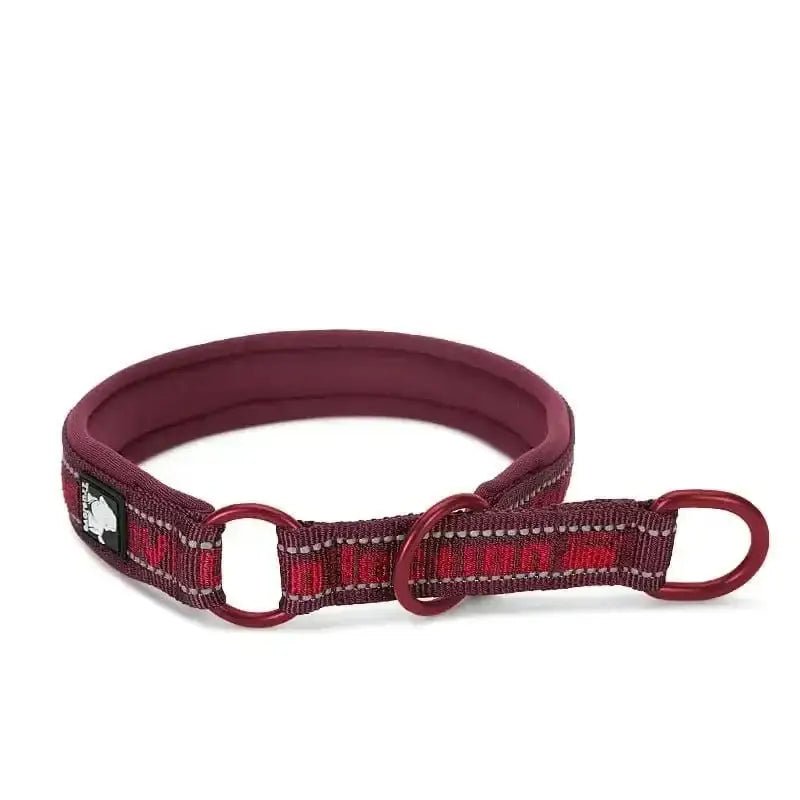 Collier truelove rembourré pour chien confortable avec anneaux métalliques, ajustable