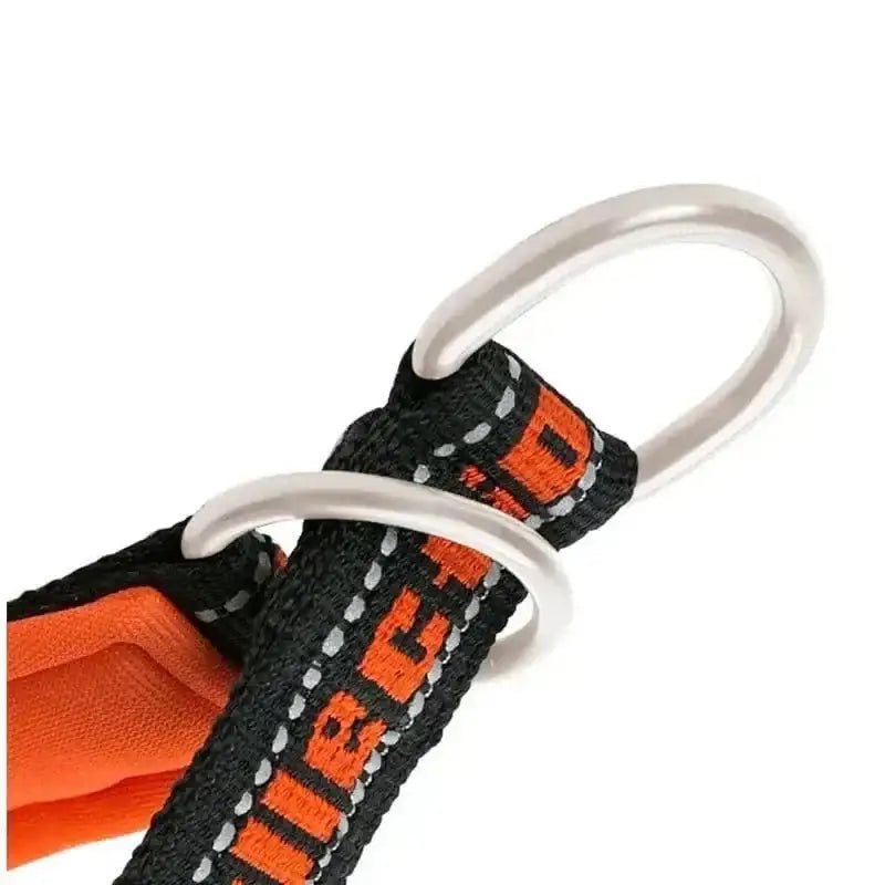 Image du collier Truelove pour chien rembourré et sécurisé avec des anneaux en métal