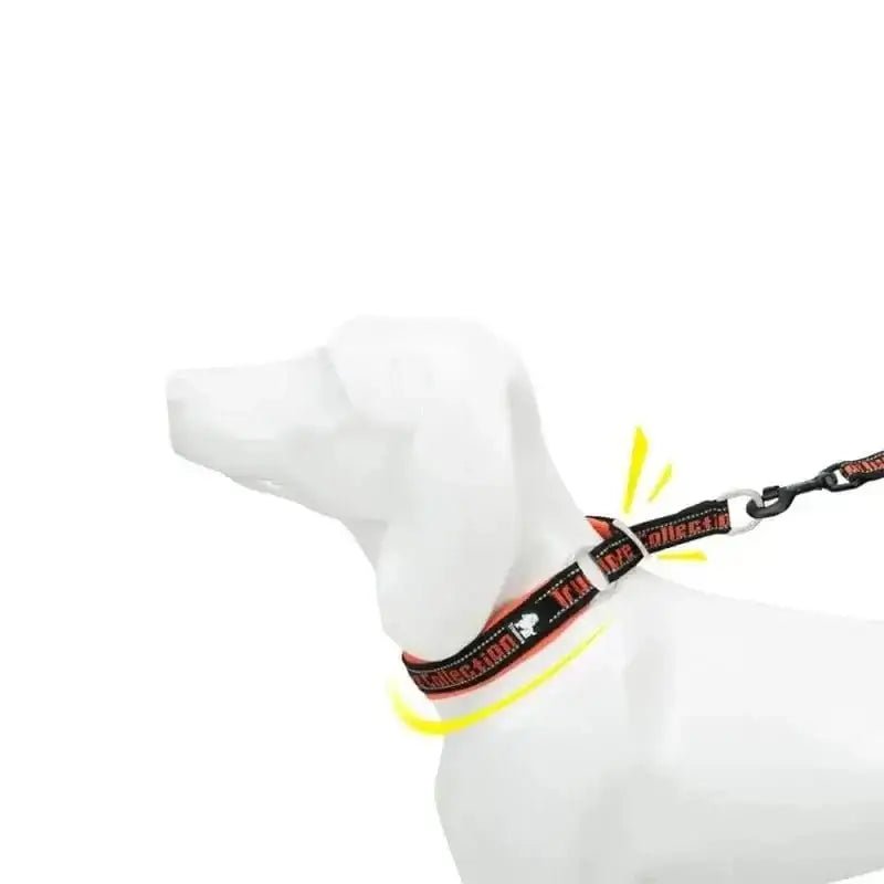 Collier Truelove rembourré et sécurisé avec laisse pour chien confortable et ajustable